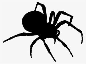 Spider, Silhouette, Halloween, Insects - Spider Silhouette Png #1308007