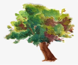 Omitted Watercolor Production Art For Tat Commercial - Still Life #1308088