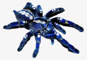 Metallica Tarantula #1308280