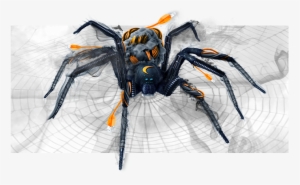 1 Reply 0 Retweets 2 Likes - Sonicwall Spider #1308444