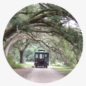 Png Trolley - Portable Network Graphics #1308578