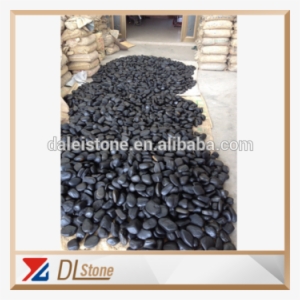 Pure Black Pebble River Stone Natural Stone Pebbles - Coral #1309263