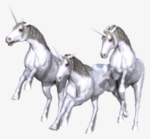 Unicorn, Fantasy, Fairy, Tale, White - Unicorn #1309478