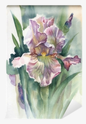 Watercolor Flower Collection - Toilet Tattoos Watercolor Iris Toilet Seat Decal Size: #1309935