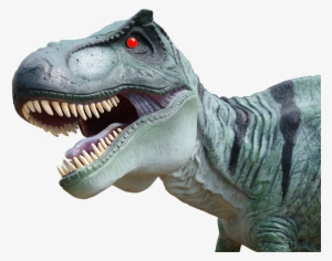 Because She Thought The Dragon Tooth Fairy Would Not - Cabeza De Dinosaurio Png #1310087 Because She Thought The Dragon Tooth Fairy Would Not - Cabeza De Dinosaurio Png #1310087