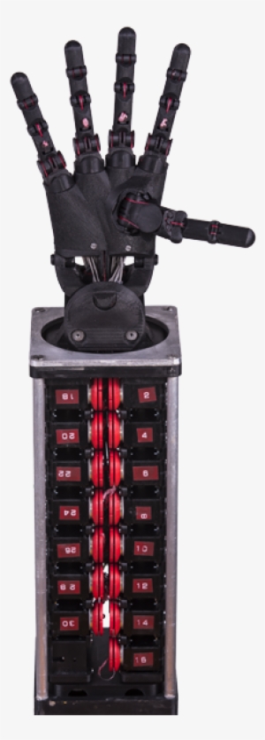 Dexterous Hand Dexterous 5-finger Hand #1310270