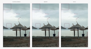 Click For High-resolution - Digital Ice Technology Epson V550 #1310530