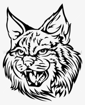 Wildcat - Wildcat Png #1310840