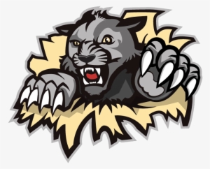 Wildcat Clipart West Shore - West Shore Wildcats Logo #1311177