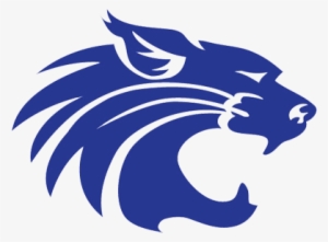 Arizona Wildcats #1311258