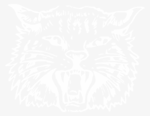 Wildcats - Alpena Public Schools #1311477