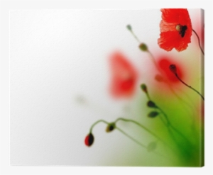 Beautiful Watercolor Poppy Border Canvas Print • Pixers® - Watercolor Painting #1311752