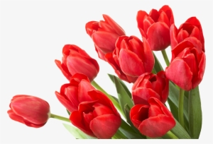 Bouquet Of Flowers Icon Clipart - Trenčín Castle #1312611