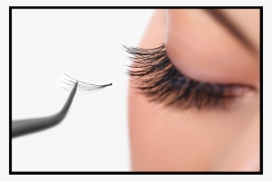 Eyelash Extensions Santa Barbara - Lash Extensions Png #1314219