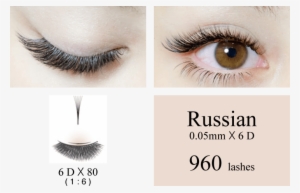Volume Eyelash Extensions - Doll Eyes Eyelash Extensions #1314407
