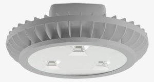 Led Hazardous #1316167