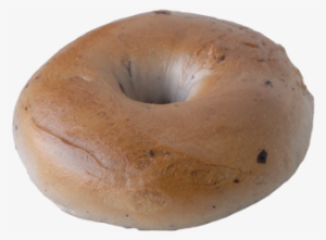 Blueberry Bagel - Bagel #1319193