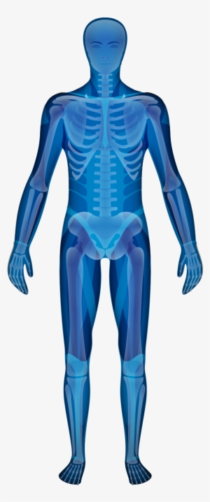 World-class Joint & Spine Care - Male #1319619