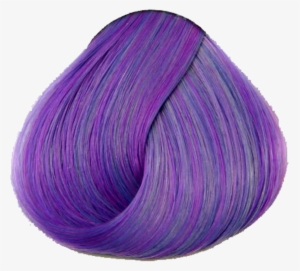 Wisteria - Wisteria Directions #1321390