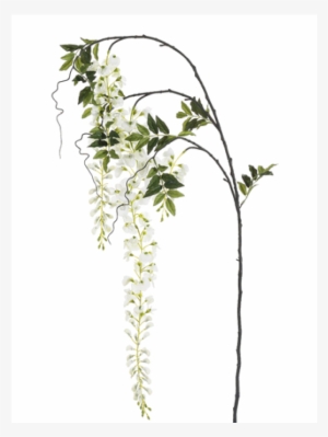 5" Japanese Wisteria Spray White - Silk Plants Direct Japanese Wisteria Spray - White #1321643