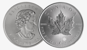 Sgd 23 - - Silver Coin 1oz Maple #1322456