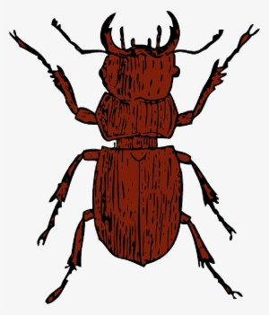 Mb Image/png - Clipart Beetle #1323511