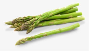 Asparagus Png Photos - Asparagus Png #1325835