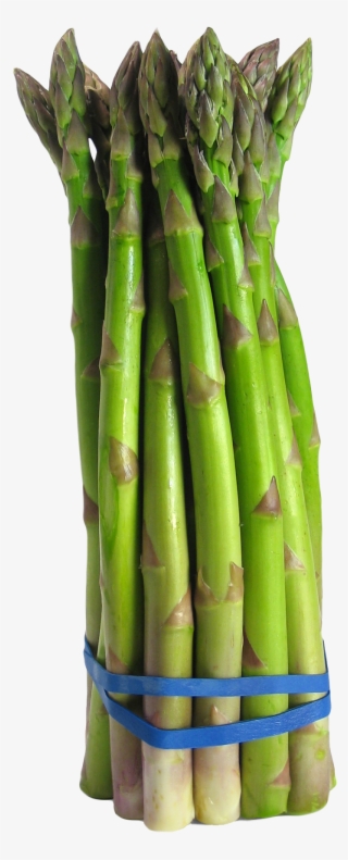 Download Asparagus Png Image - Asparagus Png #1325901