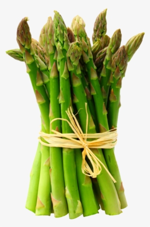 Asparagus Transparent Background - Asparagus 1kg #1325903