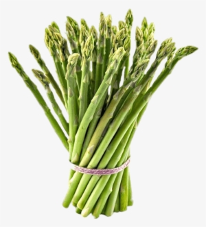 Vegetables - Fresh Asparagus #1325923