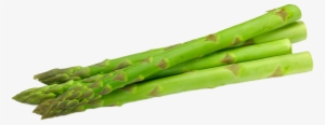 Asparagus Vegetable U Dd - 【au限定】長崎県産他 アスパラガス L束約4本~5本 約100g X10 02887036 #1325962