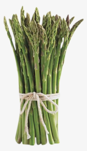 Asparagus - Mobile App #1325984