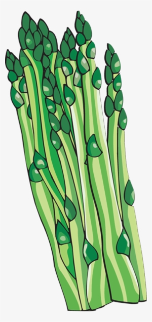 Asparagus Clip Art - Asparagus Clipart Png #1326080
