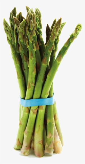 1252 Indian Rd, Creston Bc • 1 250 428 - Garden Asparagus #1326099