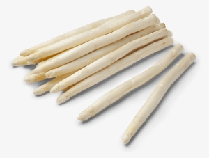 Garden Asparagus #1326170