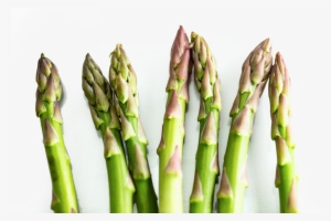 Asparagus Transparent 1 - Garden Asparagus #1326214