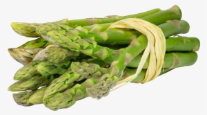 Asparagus Puree - Paleo Secrets: Ultimate Beginner's Guide With Recipes #1327177