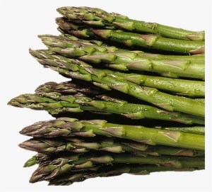 Artichoke, Whole Green Asparagus - Asparagus #1327398