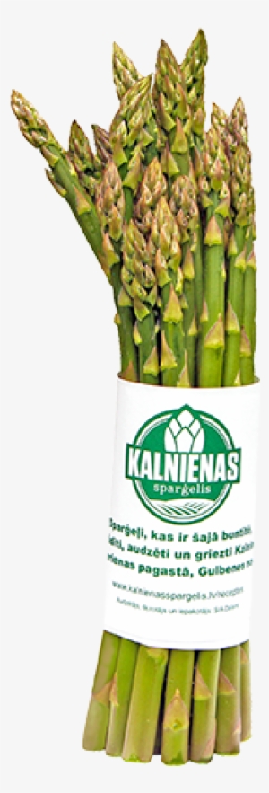 Asparagus - Garden Asparagus #1327497