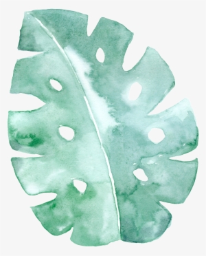 This Graphics Is Spotted Green Leaf Cartoon Transparent - Mint Green Background Watercolor Png #1327565