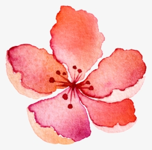 Water Saffron Transparent Decorative - Watercolor Painting #1327617