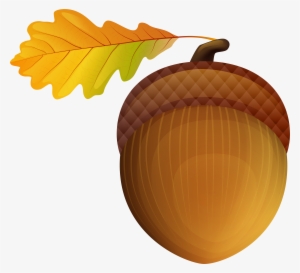 Acorn Png #1327637 Acorn Png #1327637