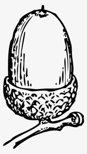 Free Vector Acorn Clip Art - Acorn Clip Art Black And White #1327992