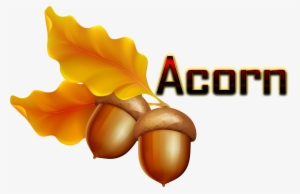 Acorn Png Hd - Transparent Background Acorn Clipart #1328048