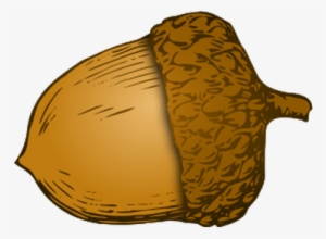Illustration Acorn - Acorn Transparency #1328170