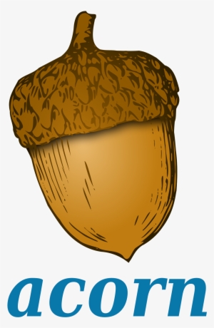 Open - Acorn Clipart Transparent #1328518