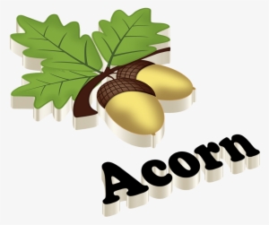 Acorn Png Dimension - Anu Name #1328582