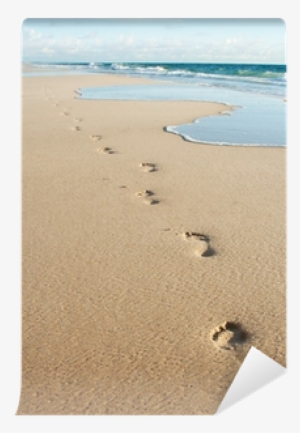 Human Footprints On The Beach Sand Wall Mural • Pixers® #1329078