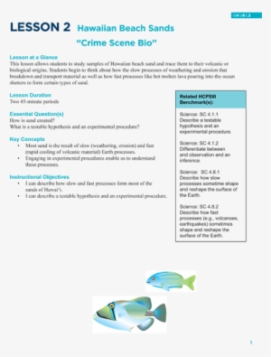 Hawaiian Beach Sands Crime Scene Bio - Pomacentridae #1329675