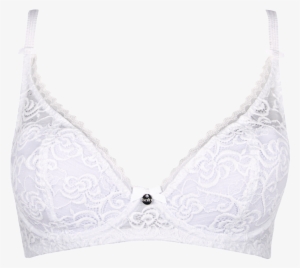 Heaven Lace Padded Bra - White Lace Bra Png #1329740 Heaven Lace Padded Bra - White Lace Bra Png #1329740